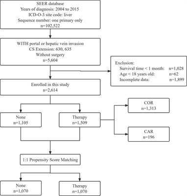 Chemotherapy combined with radiotherapy can benefit more unresectable HCC patients with portal and/or hepatic vein invasion: a retrospective analysis of the SEER database